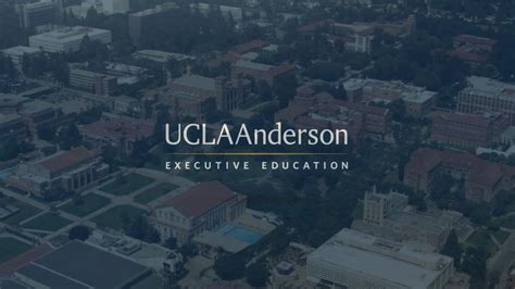 ucla executive education